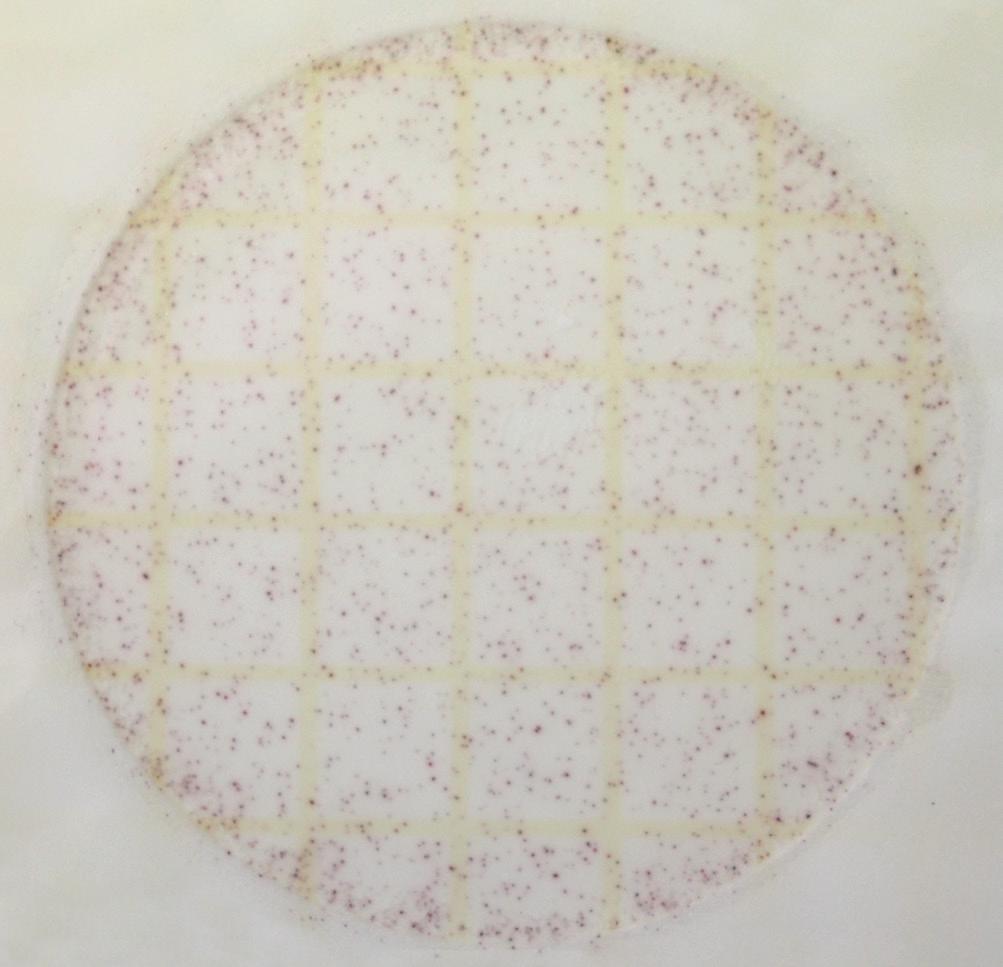 Occasionally, on overcrowded 3M Petrifilm Rapid Aerobic Count Plates, the center may lack visible colonies, but many small colonies can be seen on the