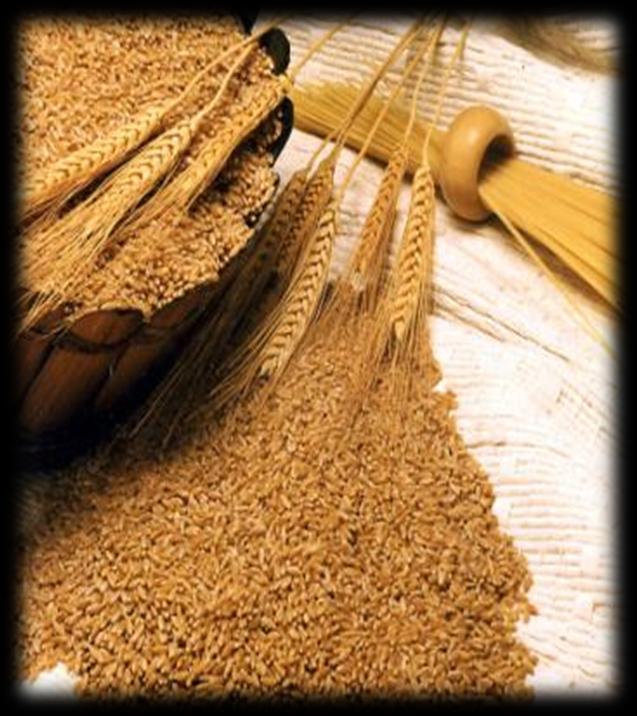 Iran produced 14 million tons of Grain in 2010 and 13 million tons in 2014 Iran achieved self-sufficiency in 2004 In 2009 Iran was the largest importer of wheat in the world from 15 countries around