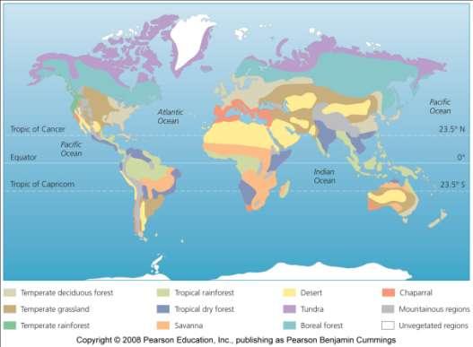 Widely separated regions share similarities Biome = major regional
