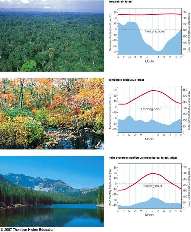 FOREST BIOMES Variations in annual temperature (red) and
