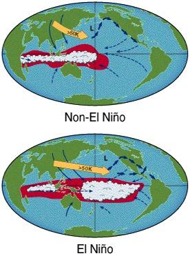 What is the El Nino- Southern Oscillation?