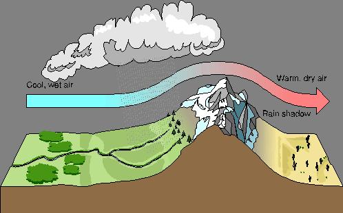 Rainshadow effect Moist air blowing from the ocean reaches a mountain