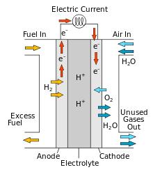 Fuel Cells Fuel (H 2 ) and