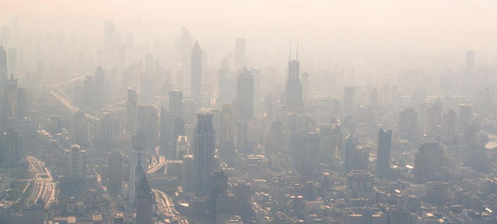 A growing need to protect skin from the ravages of air pollution Nowadays the skin is increasing assaulted as a result of the increasingly complexity of our living environment.