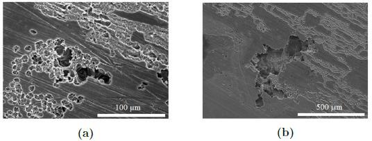 A Phenomenological Corrosion Model for Magnesium Stents RESULTS Experiment A: SEM images of the alloy