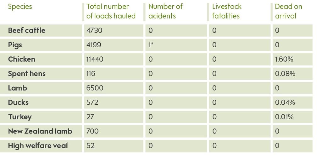 Livestock transportation accidents/deaths