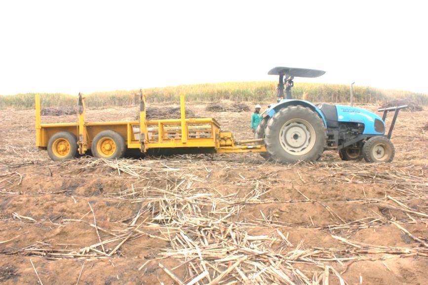 weighed during the offloading process. The cut and stack area yielded approximately 98 t/ha and the cut and windrow areas had yields of about 130 t/ha.