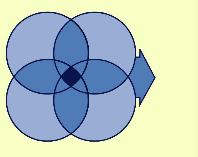 Leadership Effectiveness HayGroup s Four-Circle Model of Organisational Performance Individual