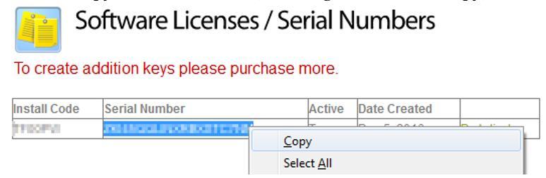 You will now see your newly created serial number in the available