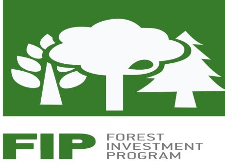 Farmers trained in smallholder and outgrower engagement practices to strengthen partnerships with forestry firms 3.