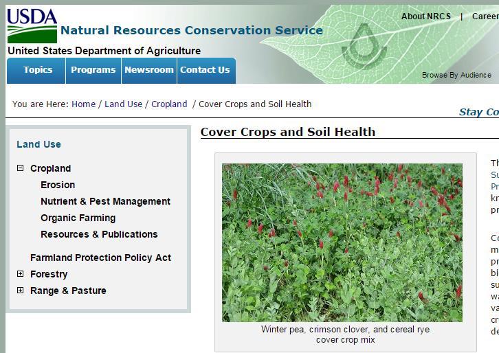 Organic N fertilizer green manure/cover crops For summer cash crop, use as winter cover Plant in fall Kill or harvest in spring By plowing under (green manure) or herbicide Source of N Not all N is