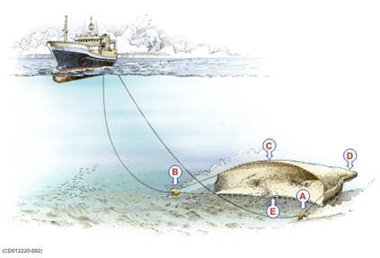 Marine Industry activity Scale of environmental impact of