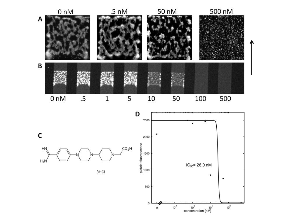 Supplemental Figure VII, Compound GR 144053 inhibits secondary platelet aggregation on collagen type 1 surfaces.