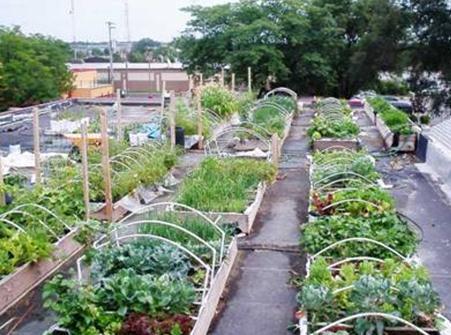 Policies to Support Grow Local 2015 Urban Agriculture Tax Credit: Credit gives farmers 90% off of real property