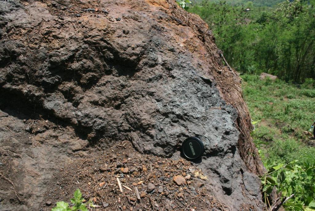 Figure 11 Massive manganese oxide (pyrolusite) on the WELL concessions, Flores.