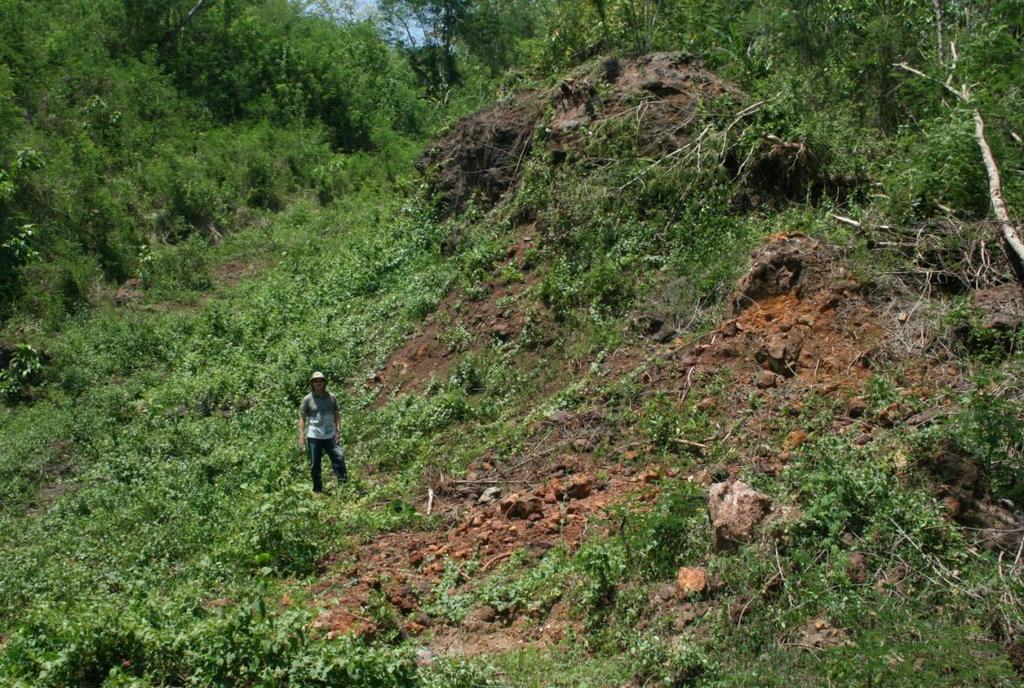 landslide in the WELL concessions on Flores Island.