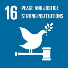 Promote a culture of peace and non-violence, ensure effective and accountable institutions, participatory and responsive decisionmaking (4.7, 16.6, 16.