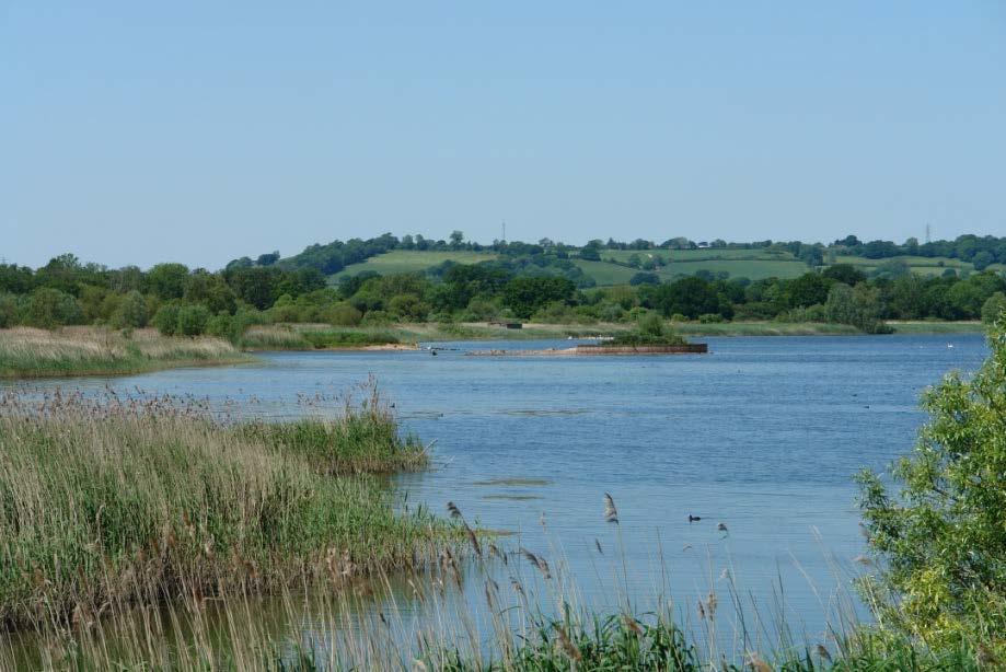 The Mendip Lakes and the River Severn are internationally important Natura 2000 sites.