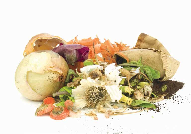 FOOD WASTE Californians throw away nearly six million tons of food scraps each year.