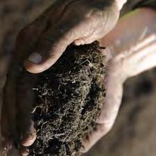 separation to produce highly pure compost products.