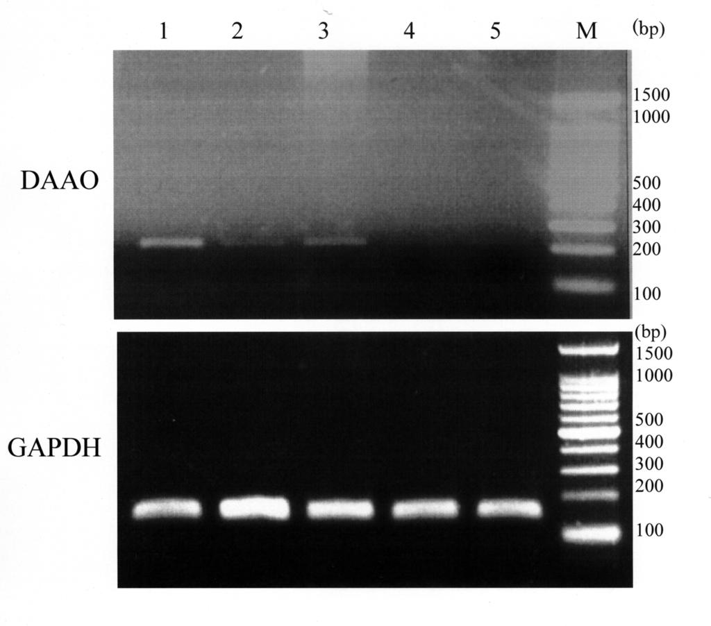 Int J Anal Bio-Sci Vol. 1, No 1 (2013) Biosystems 37