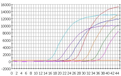 Arithmetic scale PCR baseline subtracted RFU