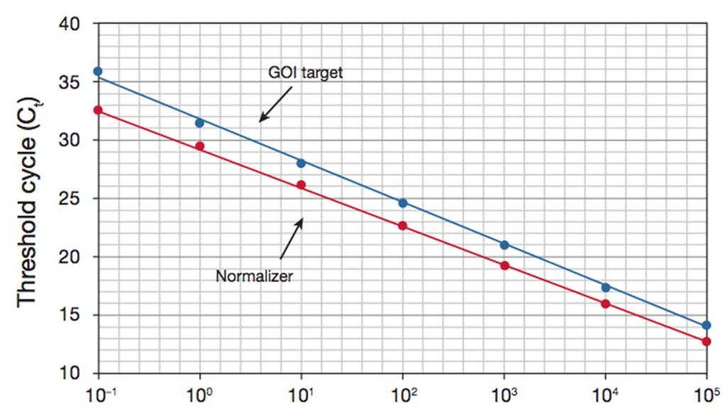 Comparative quantification standard curve method Fold difference = (E target ) Ct target /(E normalizer ) Ct normalizer E = efficiency