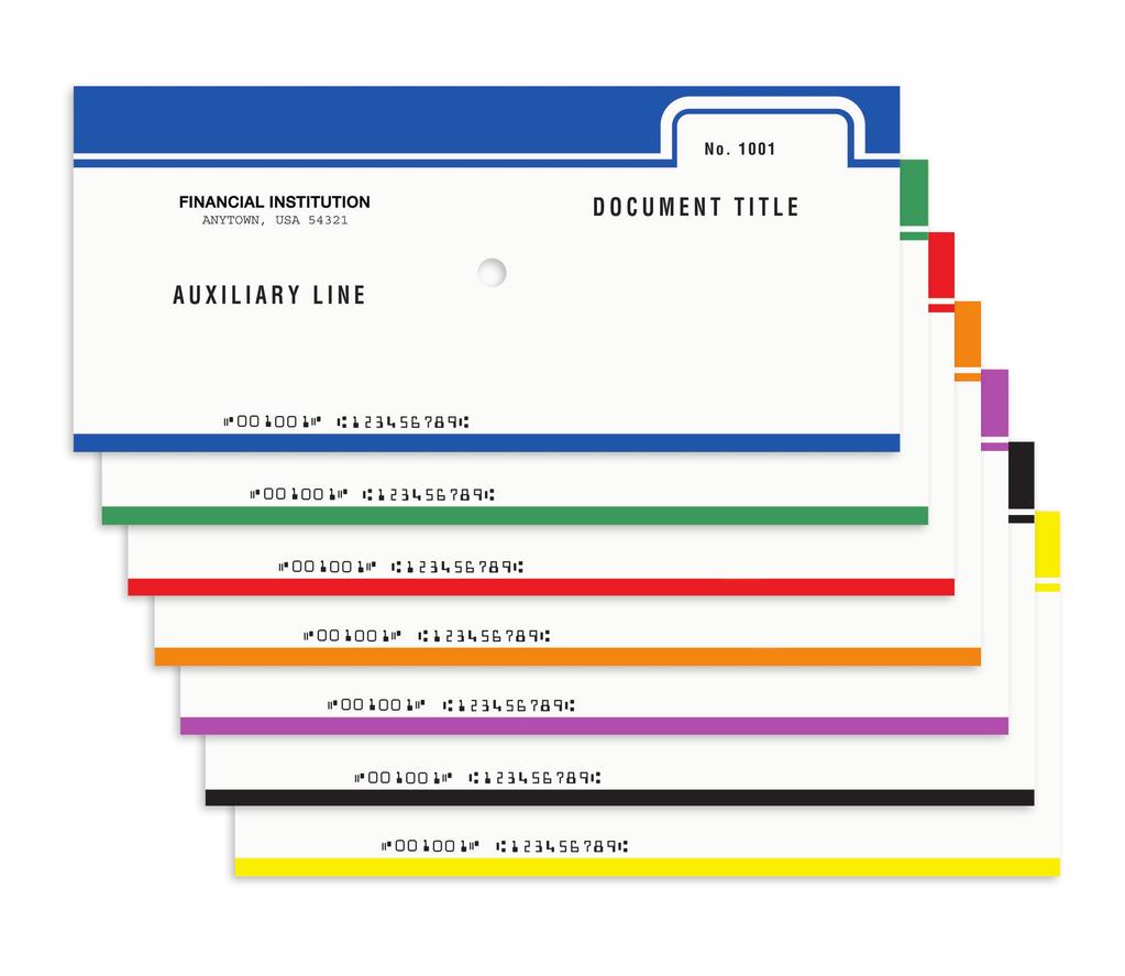 Standard Process Control Documents Auxiliary line allows you another line for descriptive information. Variable document titles available with any name or description you choose.