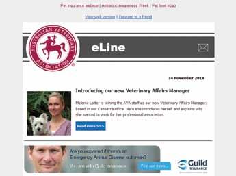 AVA eline is one of the most widely-read industry publications.