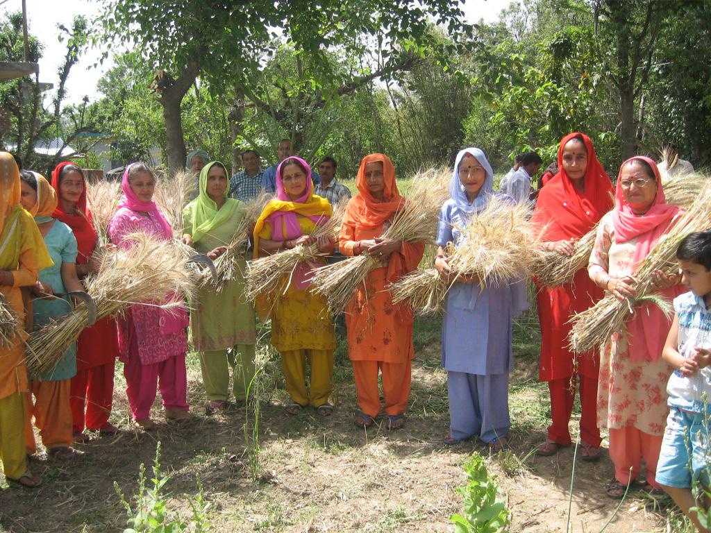 PSI Non SWI and SWI fields SWI Farmers sharing experiences Women farmers displaying