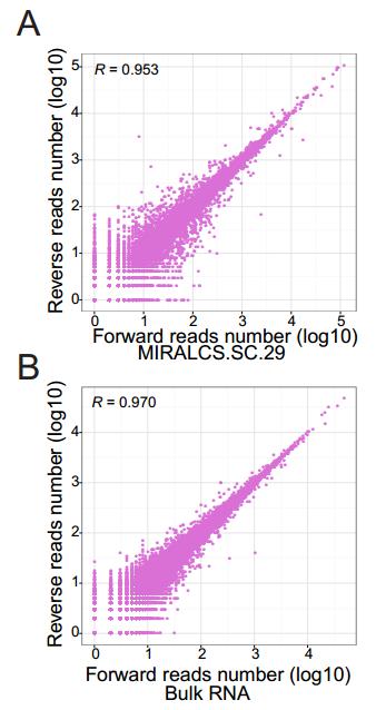 Supplementary Figure 10. Strand bias of the RNA libraries. (A) Strand bias of the single cell libraries.