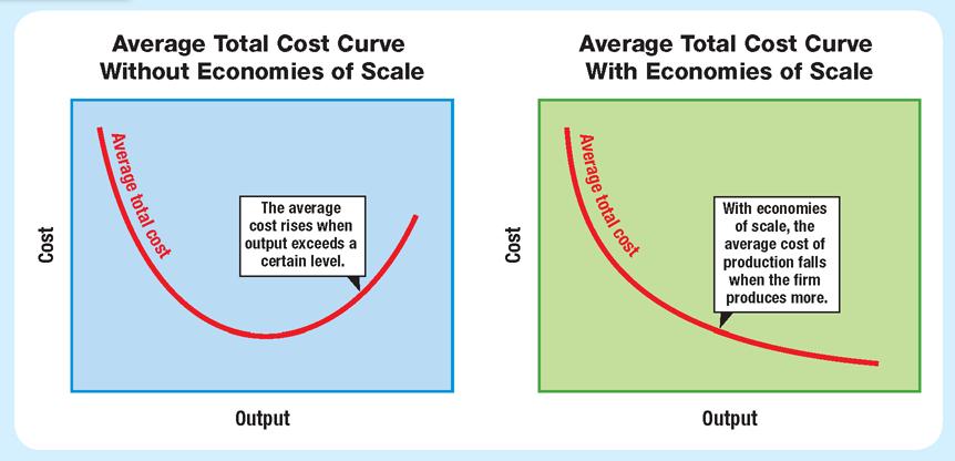 Economies of Scale Different market conditions can create different types of economies.