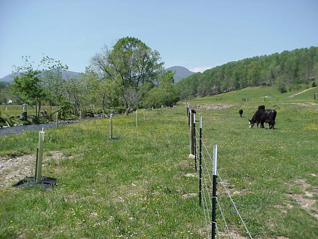 Stream Fencing Source