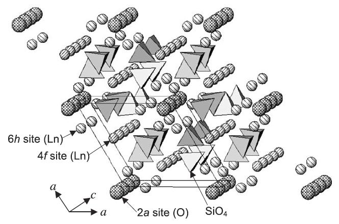 Solid Oxide Fuel Cell