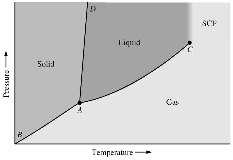 Generalized Phase Diagram Fusion curve Sublimation curve Vapor Pressure