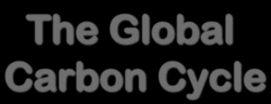 The Global Carbon Cycle In a nutshell We are mining fossil CO 2 and