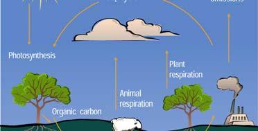 Chemical forms of carbon Gaseous carbon dioxide and methane in the atmosphere (CO 2,