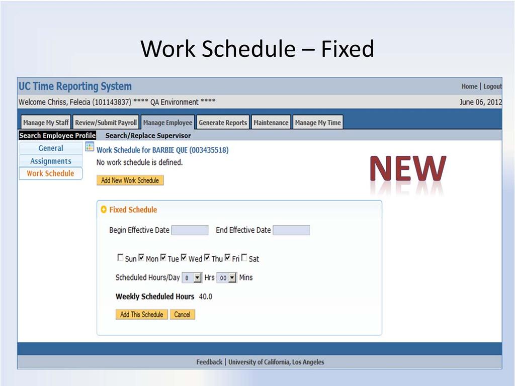 Work Schedule Fixed Schedule If the employee works a fixed schedule each pay period, select the Fixed Schedule option. Fixed Schedule: 1.