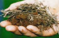 organic matter keeps soil healthy and full of nutrients The