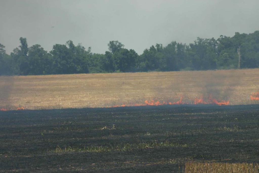 Burning of Residues in the Field Winter wheat field being burned in Lonoke