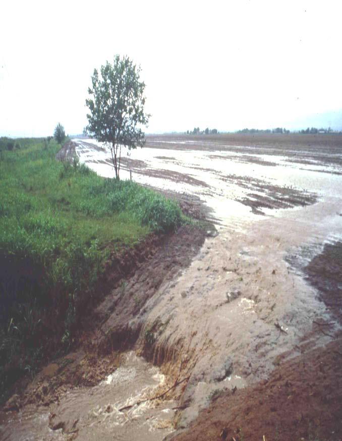 Consequences Intensive tillage destroys the biological and ecological integrity of the soil system (Reicosky, 2004).