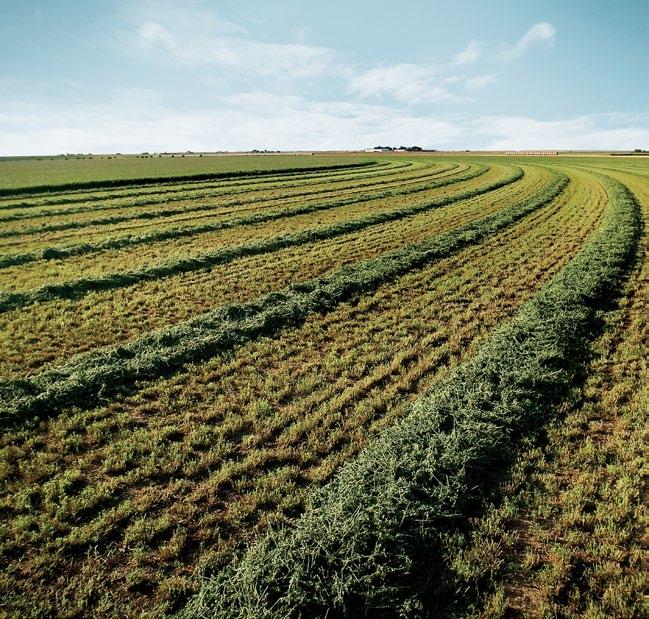 Because Alfalfa is a forage crop normally harvested three to five times during the growing season, when nutrient removal can be very high.