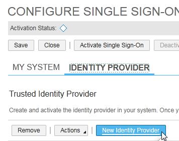 SAP Cloud Identity Go back to the Single Sign-On Administration screen on the SAP Cloud for