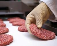 Internal Auditing for the Food Industry The course is designed to provide a solid understanding of how to conduct an internal audit of any of the three major GFSI-recognized food safety management