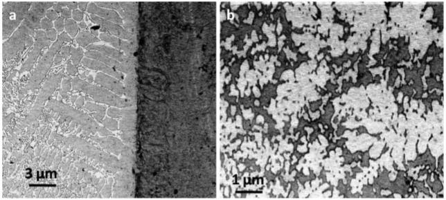 Figure 5. (a) Cross-section of the laser clad layer of Ni-Mo-Cr-Si with a thickness of ~1 mm that was metallurgically bonded to the stainless steel 316L substrate.