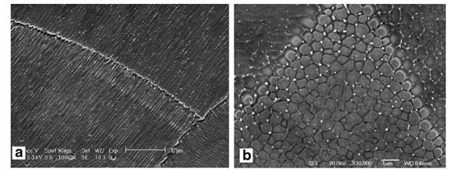 Figure 15. Scanning electron microscope images of SLM Hastelloy X 25 showing: (a) Fine, elongated grains in build direction; (b) Cross-section of axial grains.