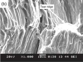 3 Fracture behavior Figure 4 shows the SEM micrographs of room temperature tensile fracture of Mg-Mn-xZn alloys. These figures indicate that fracture behavior changes with the alloy composition.