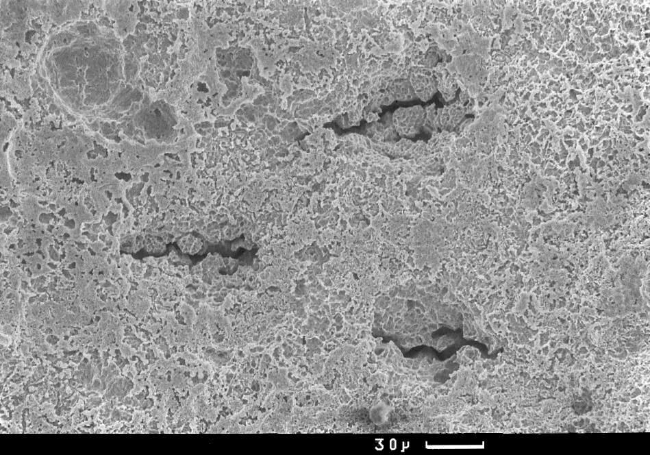 surface (scanning microskope) 1cm = 30 µm 1cm = 30 µm