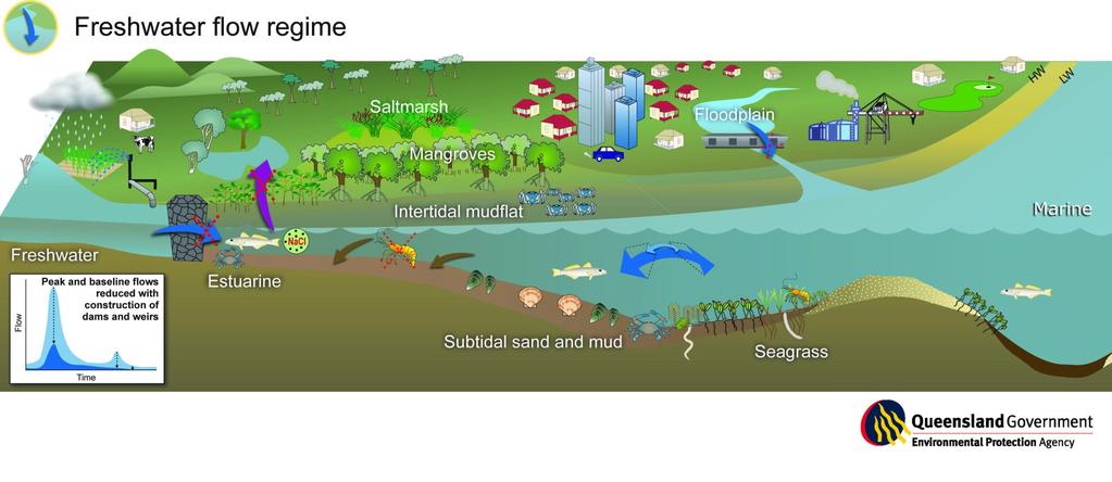 Surface Water Withdrawals Hydrobiological Monitoring Drivers for this Hydrobiological Monitoring Program Stakeholder concerns about withdrawal impacts on estuarine systems Lack of