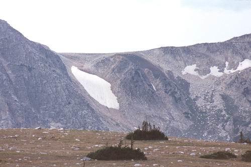 Tundra (Alpine Tundra and Arctic Tundra) Alpine Tundra on highest mountains; Arctic Tundra farthest north in North America, Europe, and Asia few trees; mostly shrubby due to soil permafrost flora